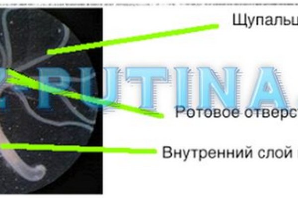 Кракен маркет kr2web in