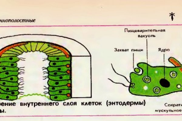 Как зайти на кракен через браузер