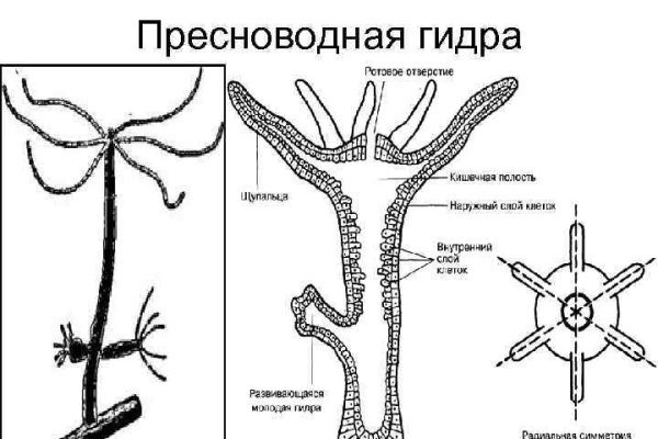 Площадки в даркнете