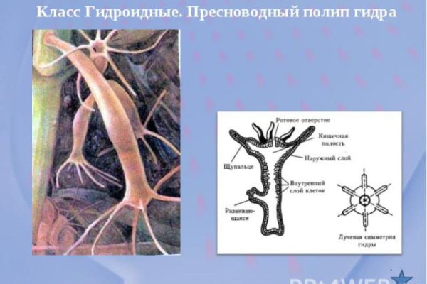 Кракен онион даркнет площадка