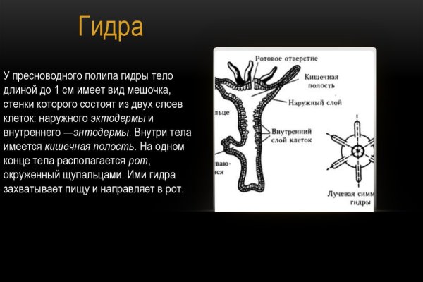 Кракен даркнет только через торг