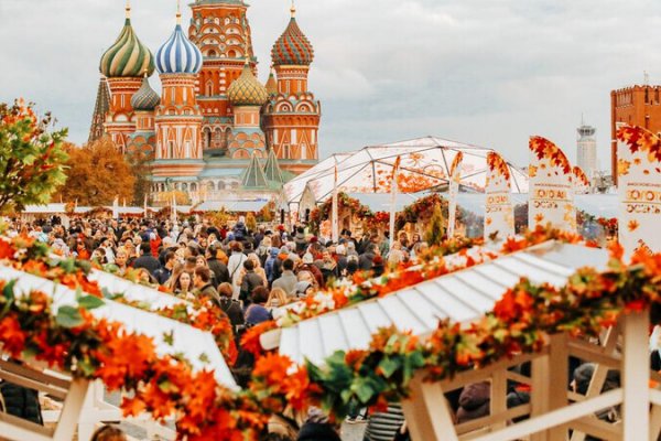 Ссылка в даркнет