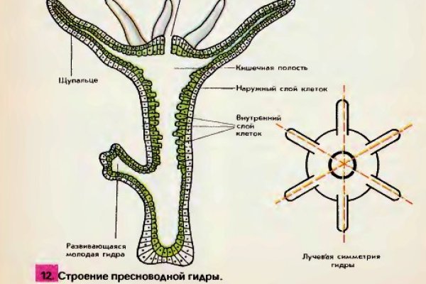 Кракен тг ссылка